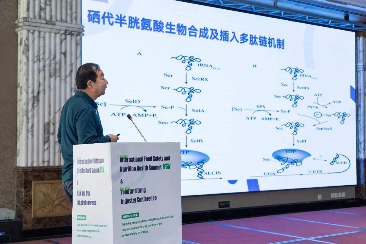 XPJ(中国大陆)有限公司官网