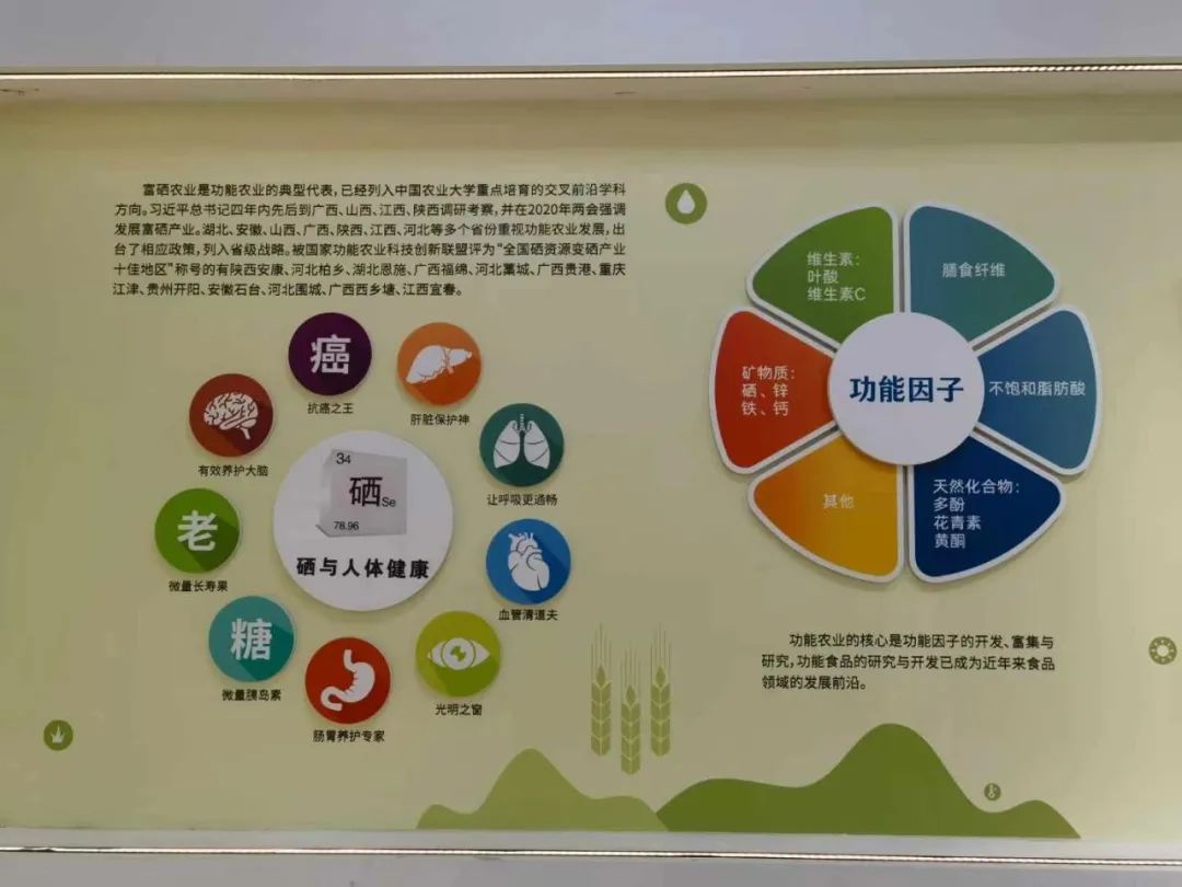 XPJ(中国大陆)有限公司官网