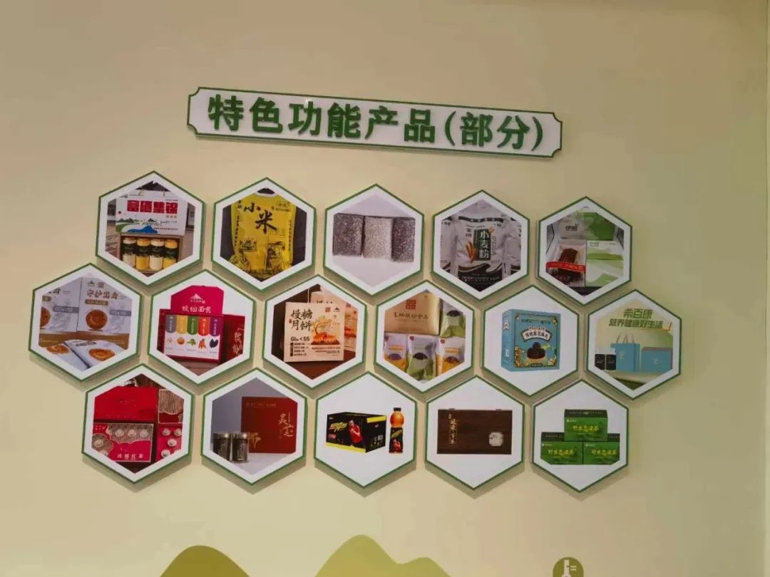 XPJ(中国大陆)有限公司官网