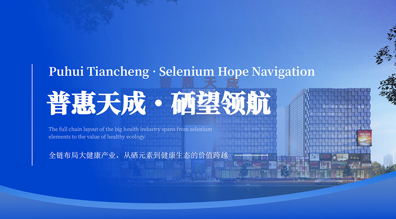 XPJ(中国大陆)有限公司官网