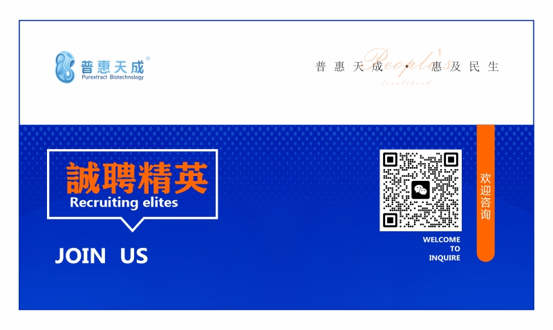 XPJ(中国大陆)有限公司官网